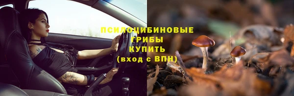 дживик Аркадак