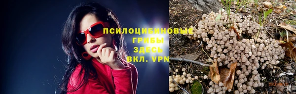 дживик Аркадак