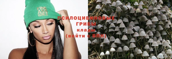 альфа пвп Армянск