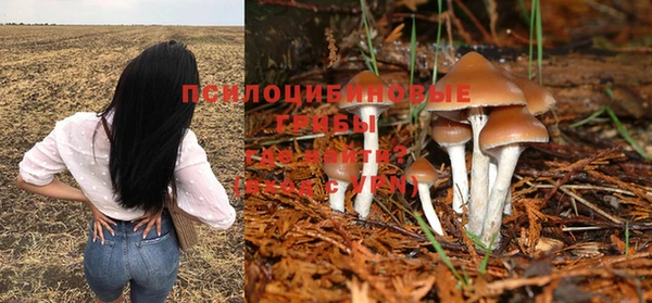 дживик Аркадак